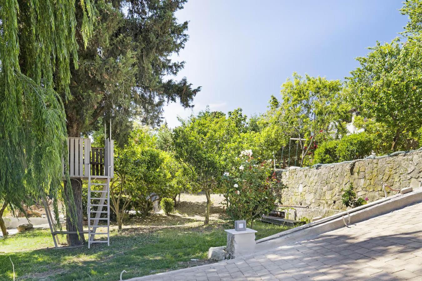 Paradiso Verde Ληξούρι Εξωτερικό φωτογραφία